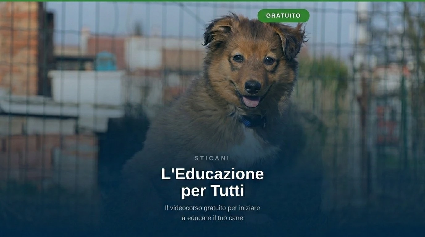 videocorsi educazione cinofila online gratuito educazione cinofila online - L'Educazione per Tutti StiCani