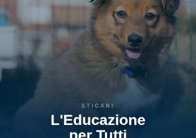 videocorso educazione cinofila gratuito