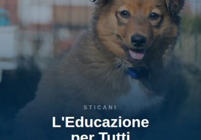 L’educazione di Base