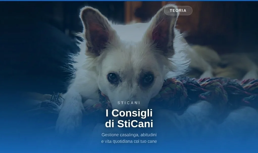 videocorsi educazione cinofila  online