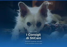 videocorsi educazione cinofila  online