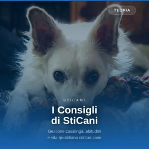 videocorsi educazione cinofila online - i Consigli di StiCani - teoria educazione cinofila online