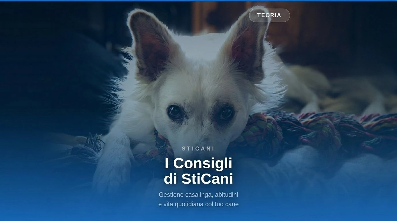 videocorsi educazione cinofila online - i Consigli di StiCani - teoria educazione cinofila online