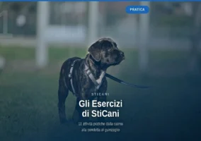 videocorsi educazione cinofila  online