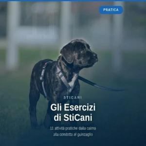 videocorsi educazione cinofila online - Gli Esercizi di StiCani - pratica educazione cinofila online