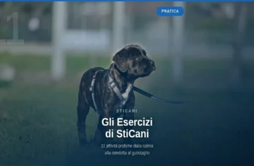 videocorsi educazione cinofila  online