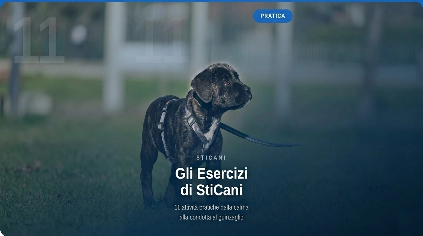 videocorsi educazione cinofila online - Gli Esercizi di StiCani - pratica educazione cinofila online