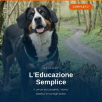 videocorsi educazione cinofila  online
