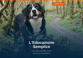 videocorsi educazione cinofila  online
