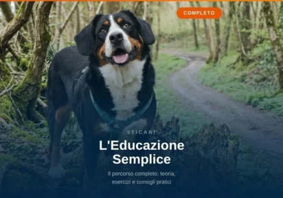 L’Educazione Semplice