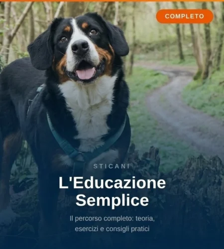 videocorsi educazione cinofila  online