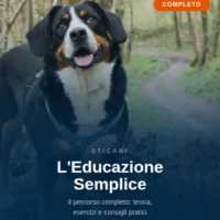 corso educazione cane online