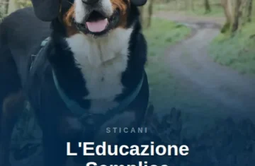corso educazione cane online
