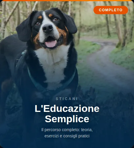 corso educazione cane online