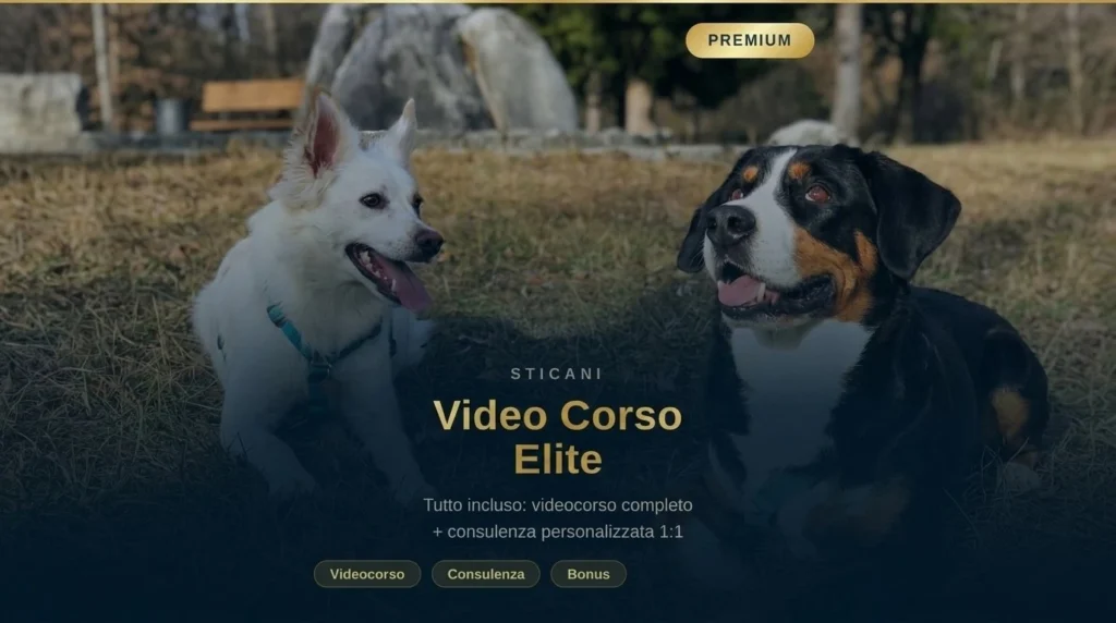 videocorsi educazione cinofila online - Elite StiCani - videocorso completo con consulenza cinofila online