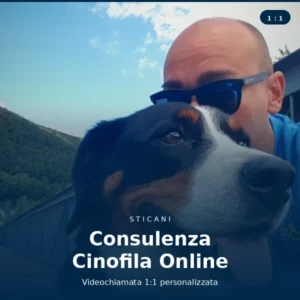 consulenza-cinofila-online